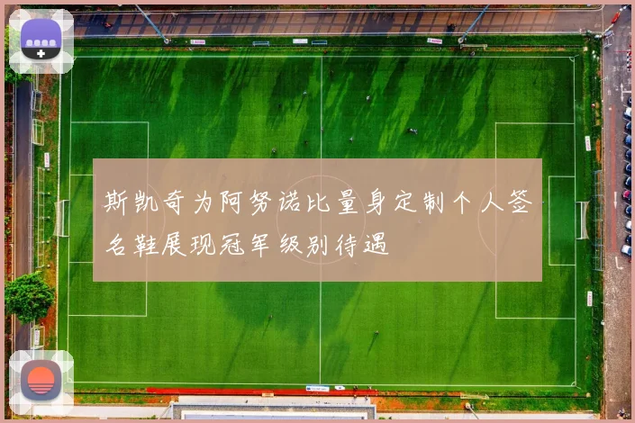 斯凯奇为阿努诺比量身定制个人签名鞋展现冠军级别待遇
